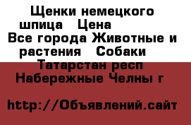 Щенки немецкого шпица › Цена ­ 20 000 - Все города Животные и растения » Собаки   . Татарстан респ.,Набережные Челны г.